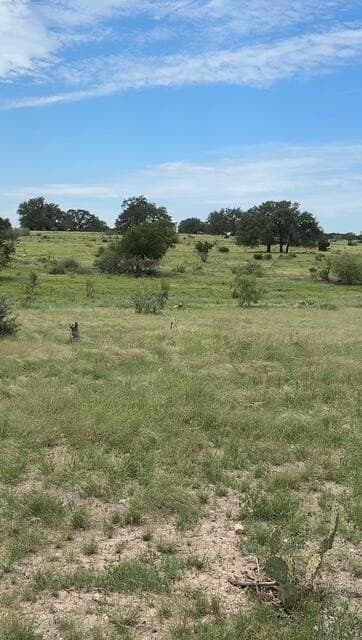 200.2 acres in Sutton County - photo 30