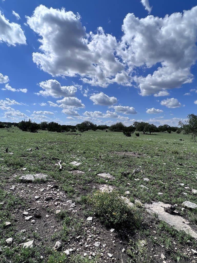 200 acres in Sutton County - photo 45