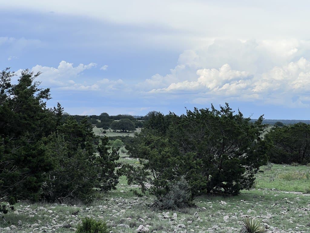 200 acres in Sutton County - photo 47
