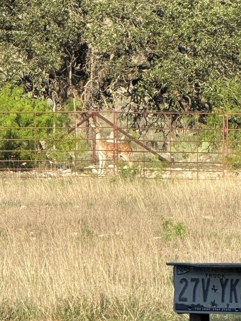 200 acres in Sutton County - photo 14