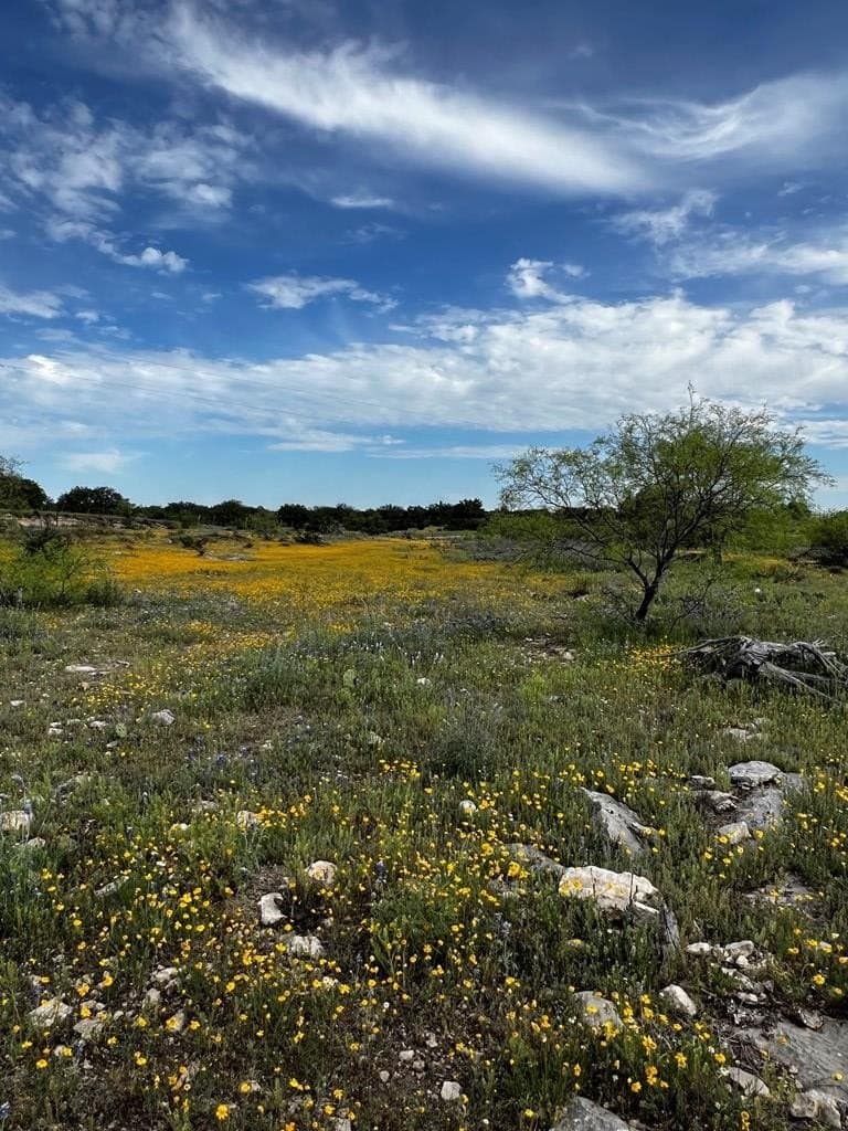 200 acres in Sutton County - photo 35