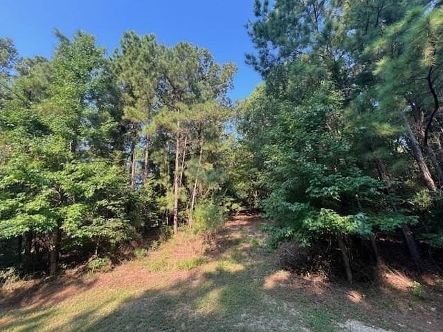 5 acres in Texas County gallery image 3