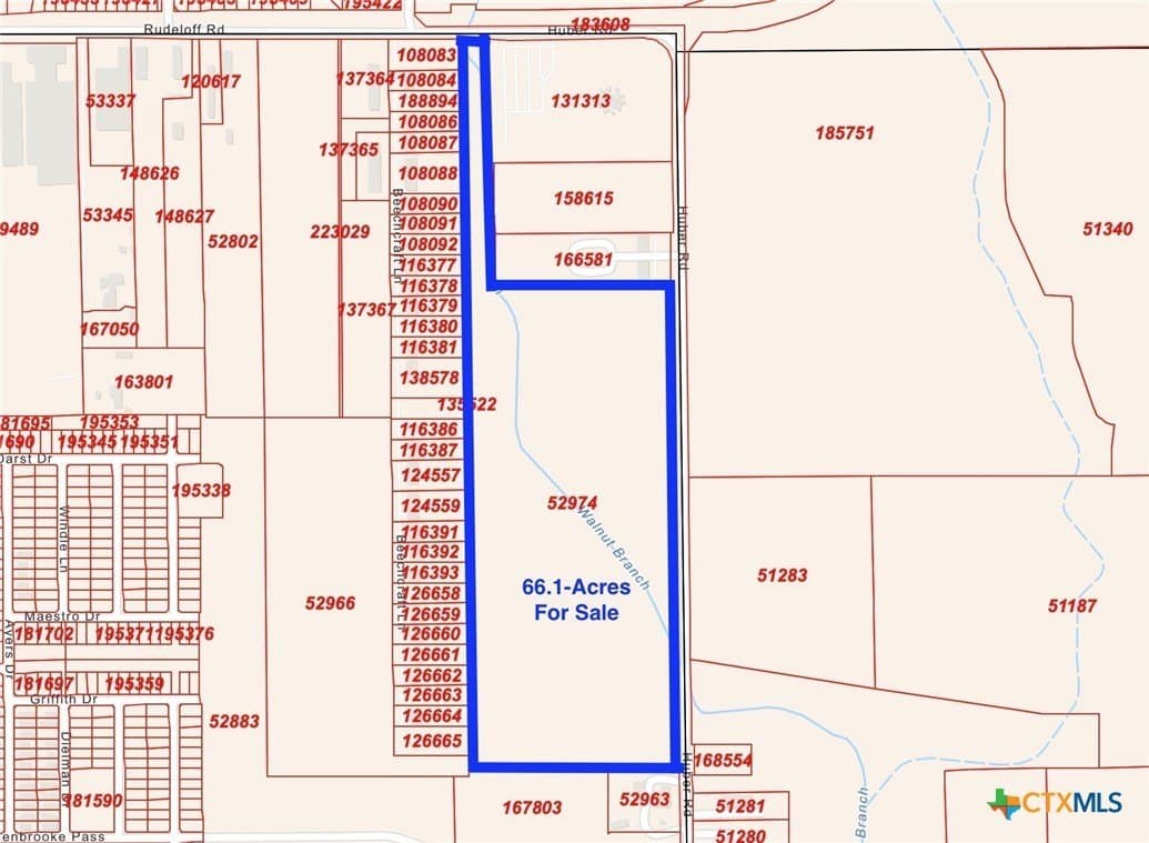 66.1 acres in Guadalupe County - photo 2