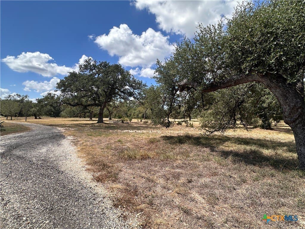 29.24 acres in Hays County - photo 38