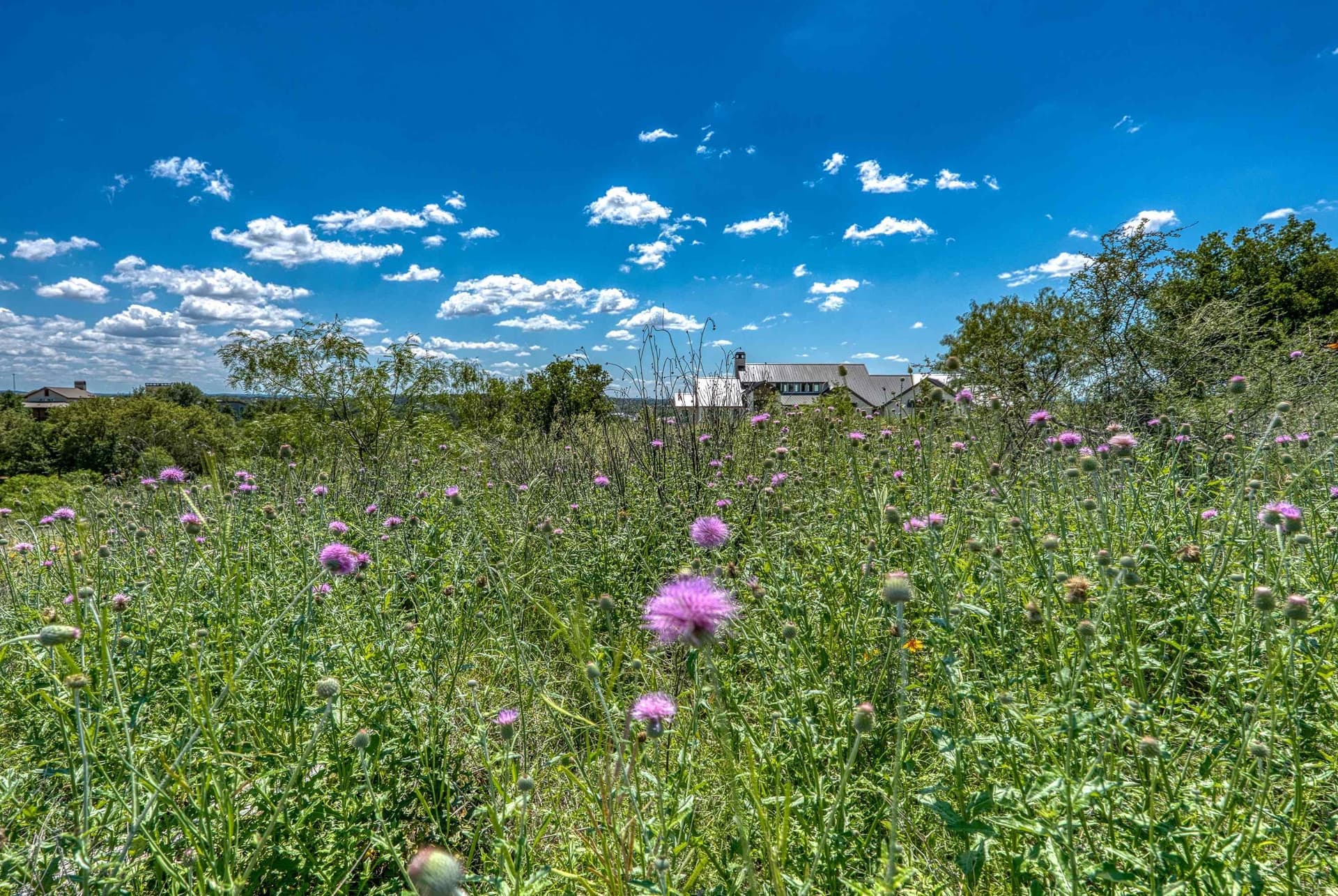 1.54 acres in Llano County - photo 16