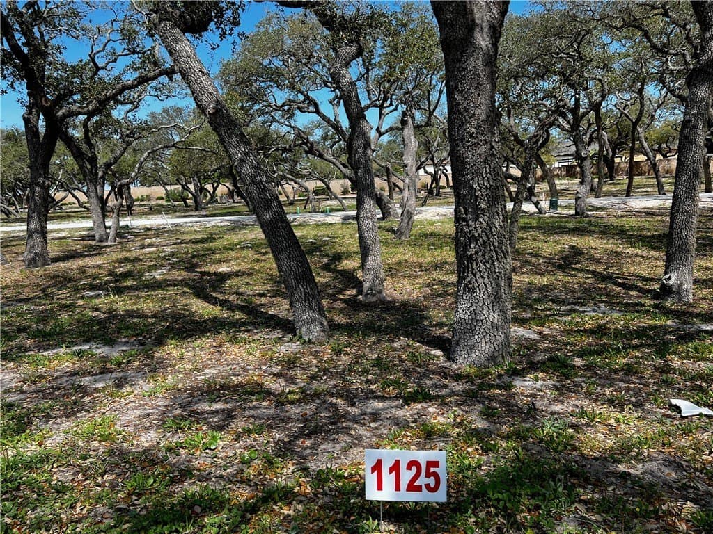 0.13 acres in Aransas County gallery image 2