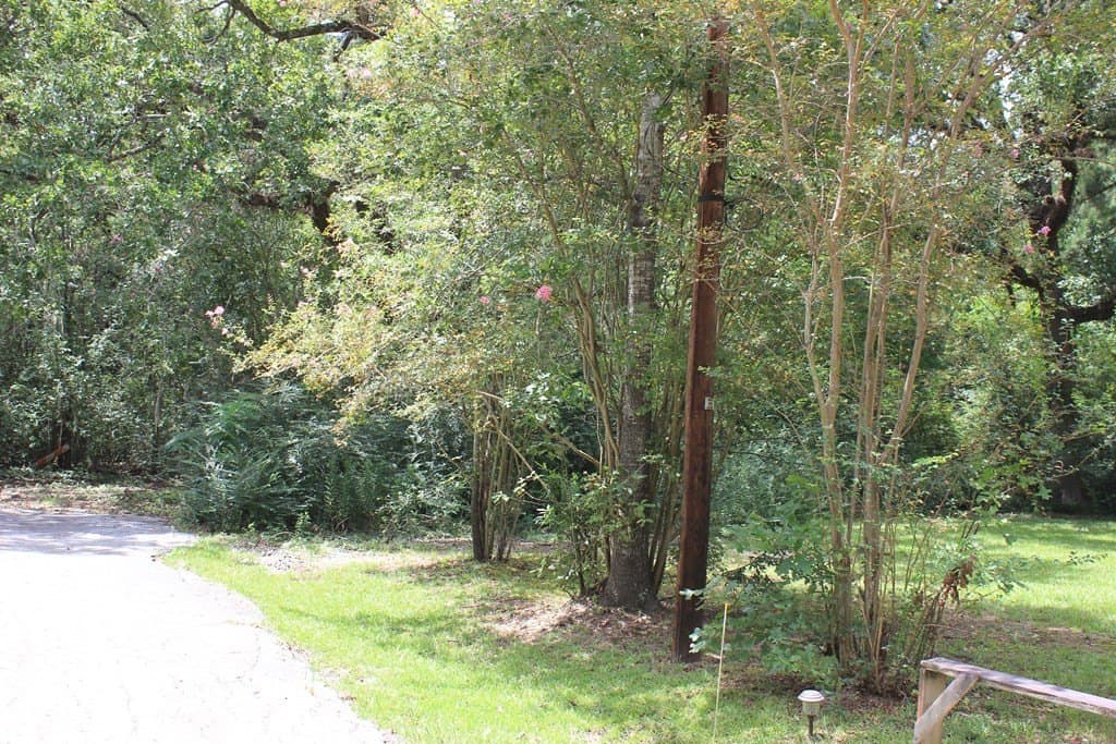 1 acres in Texas County - photo 10