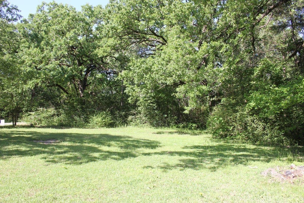 1 acres in Texas County - photo 12