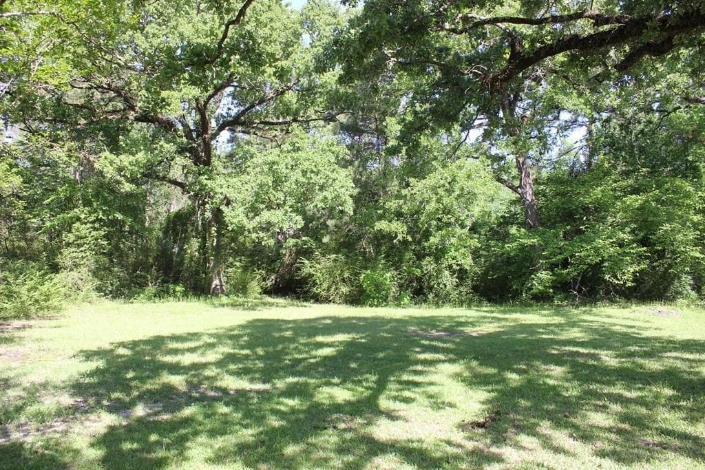 1 acres in Texas County gallery image 2
