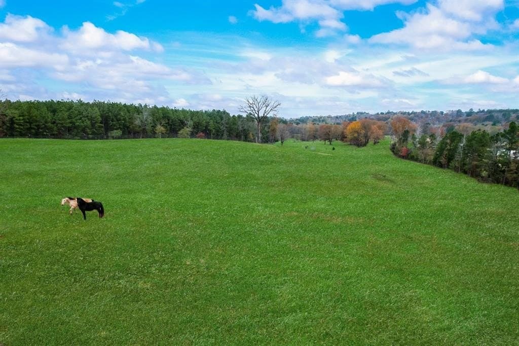32.6 acres in Smith County gallery image 3