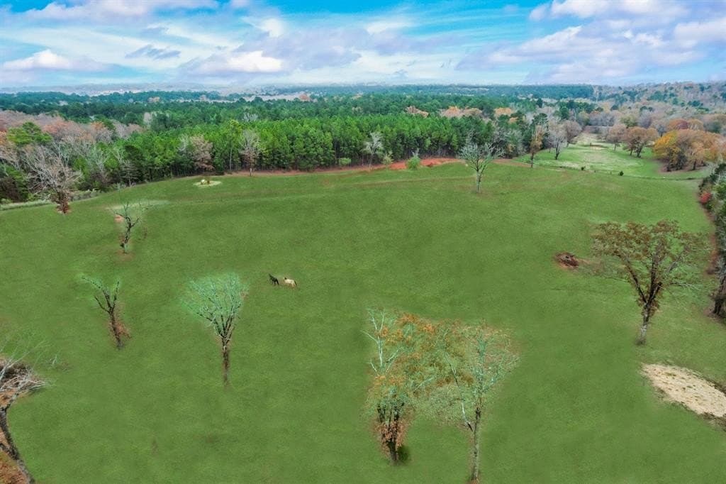 32.6 acres in Smith County featured view
