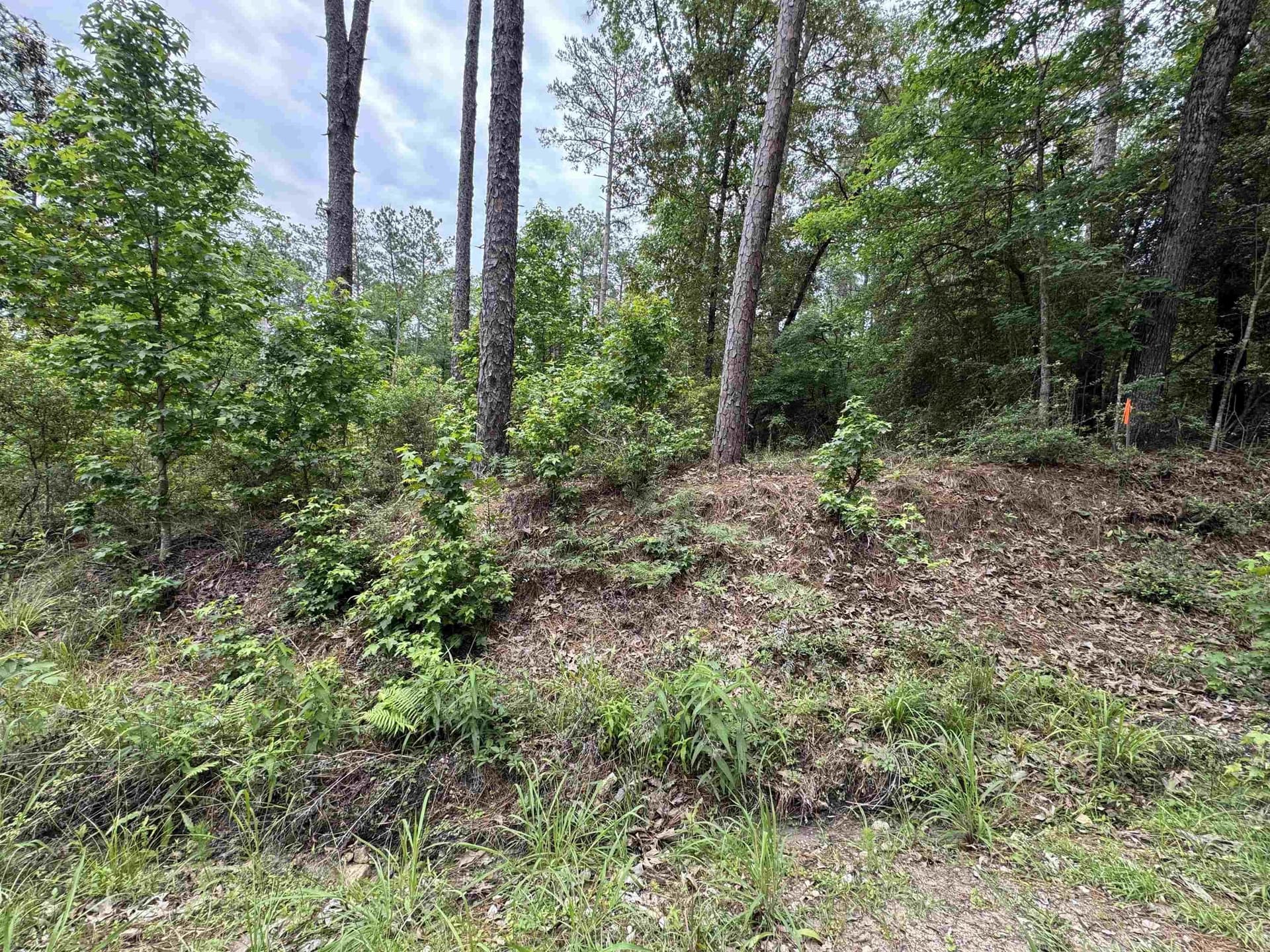 0.46 acres in Texas County gallery image 4