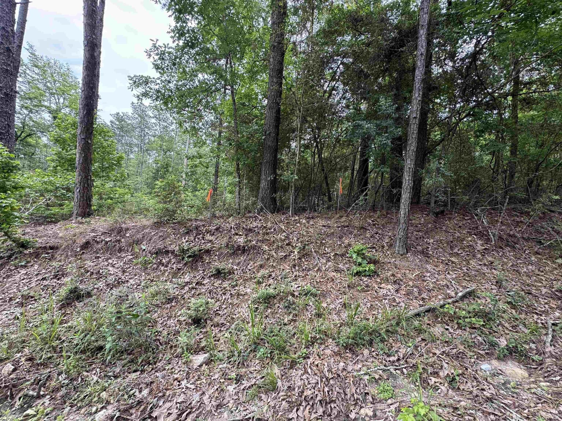 0.46 acres in Texas County featured view
