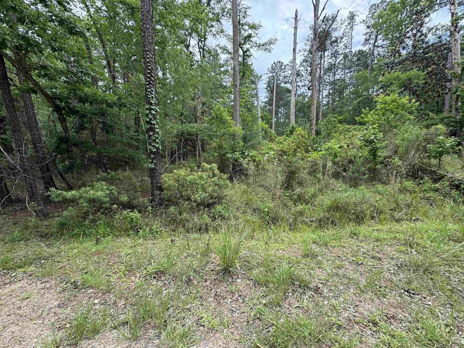 0.46 acres in Texas County gallery image 2