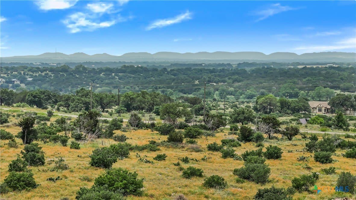 10.02 acres in Blanco County gallery image 2