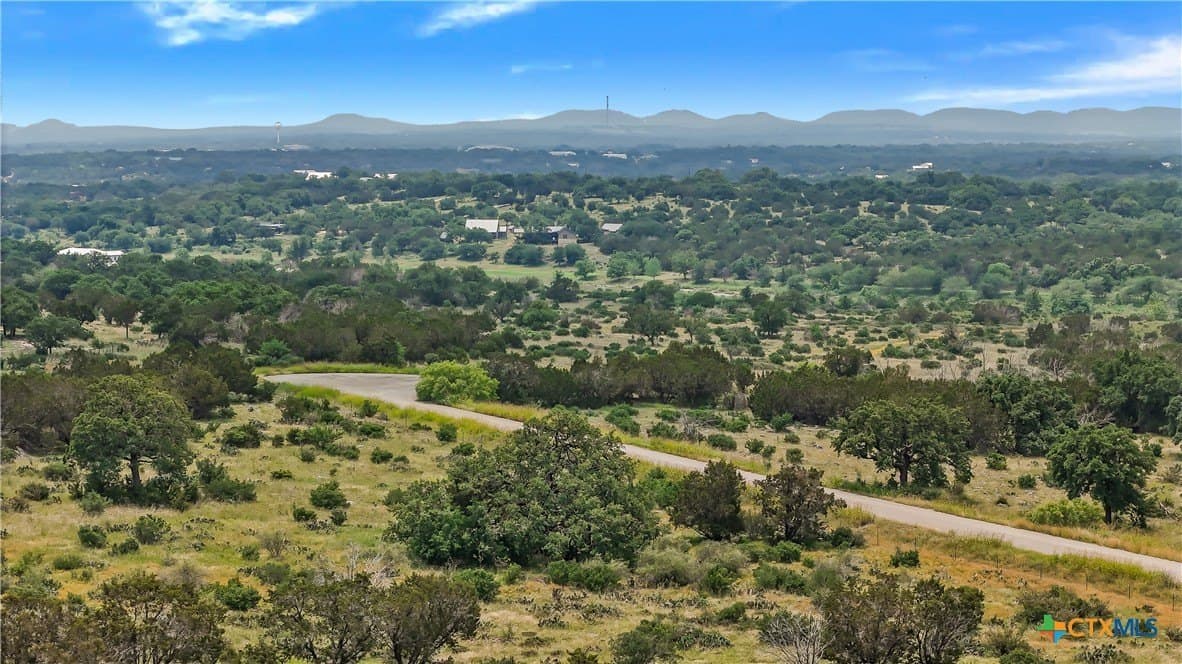 10.02 acres in Blanco County gallery image 3