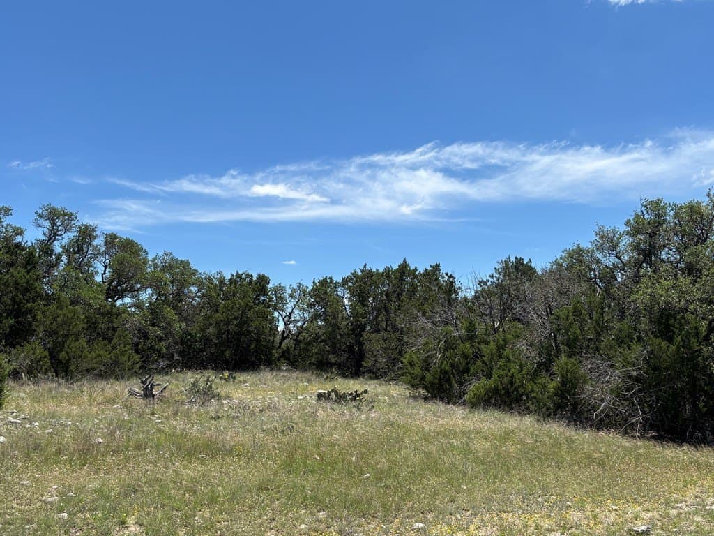 24 acres in Edwards County gallery image 3