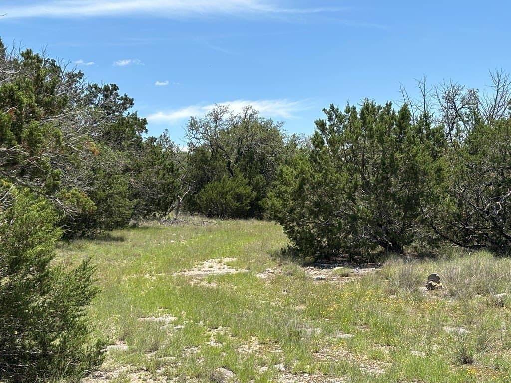 24 acres in Edwards County gallery image 4