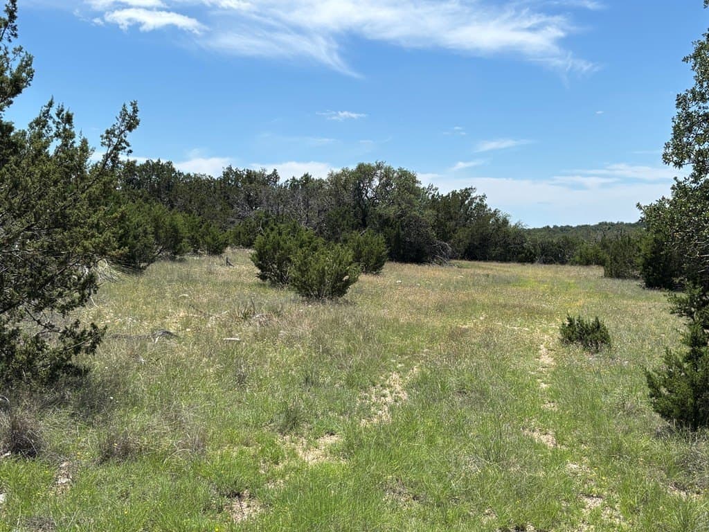 24 acres in Edwards County gallery image 2
