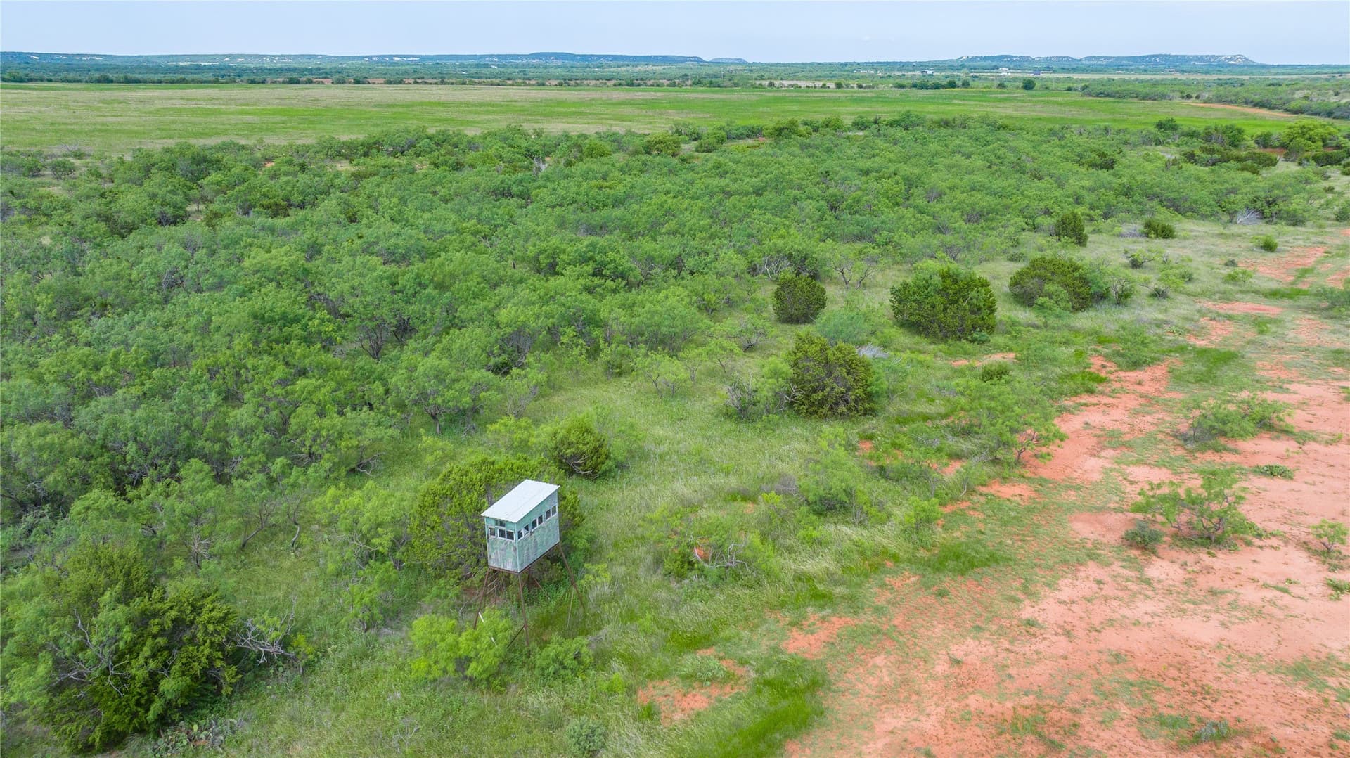 270 acres in Taylor County - photo 17