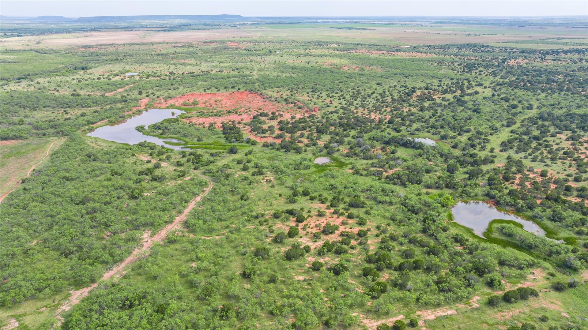270 acres in Taylor County - photo 36