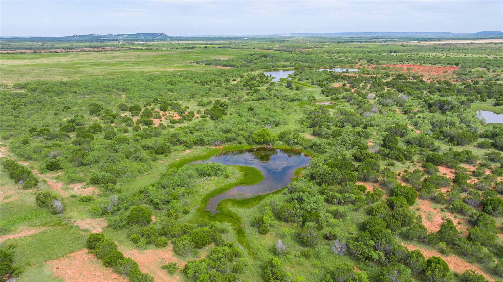 270 acres in Taylor County - photo 32