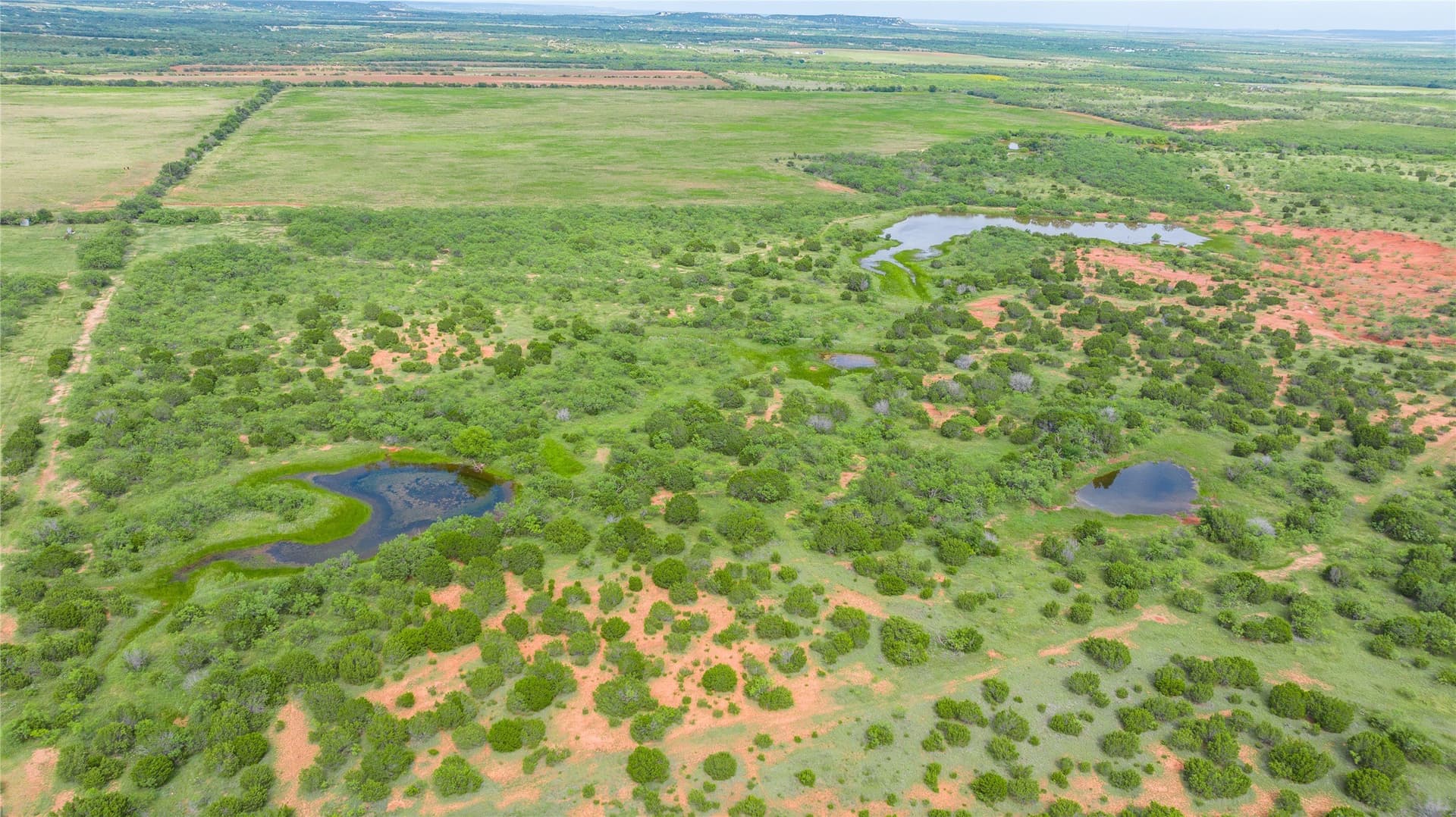 270 acres in Taylor County - photo 35