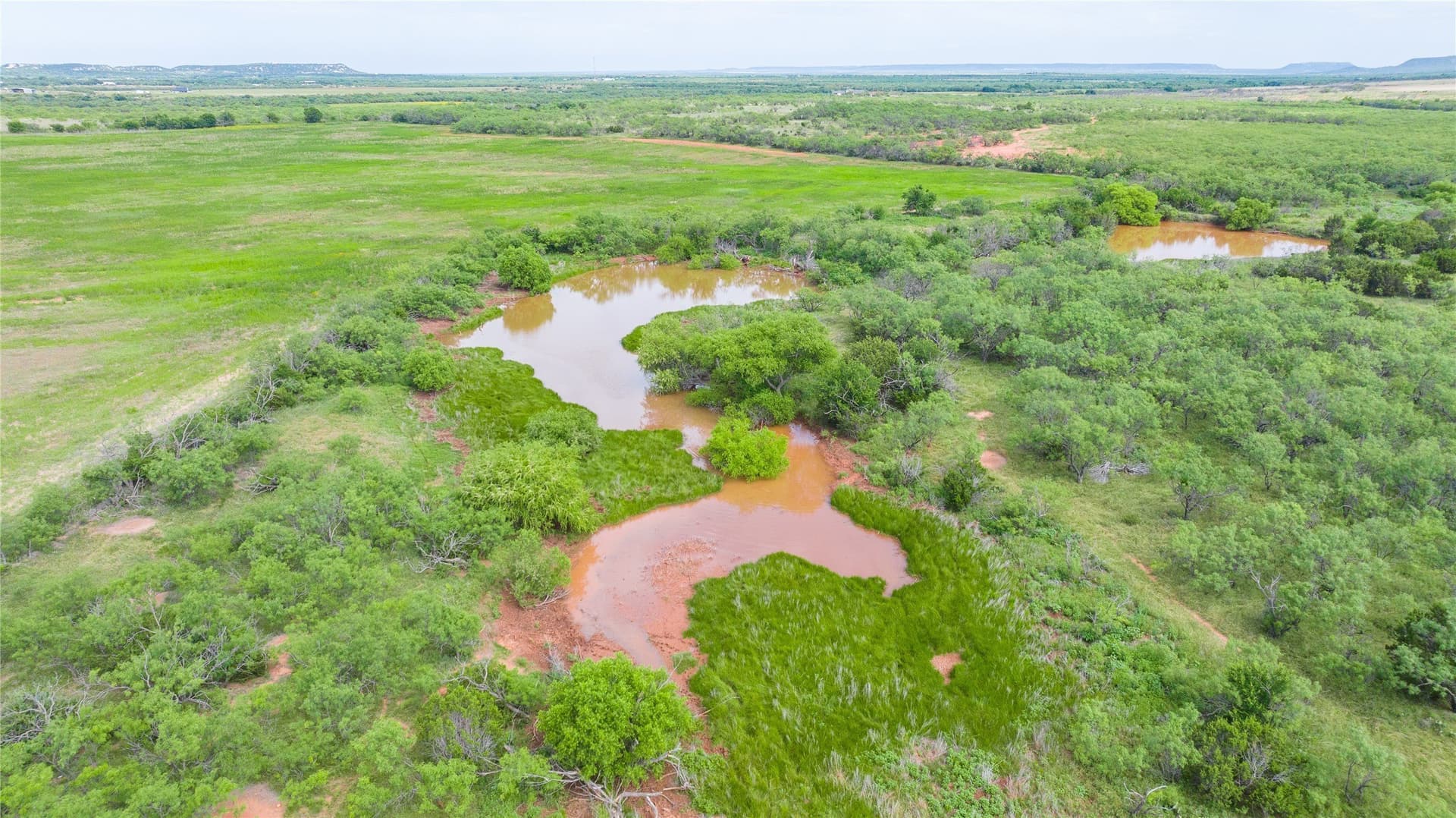 270 acres in Taylor County - photo 13