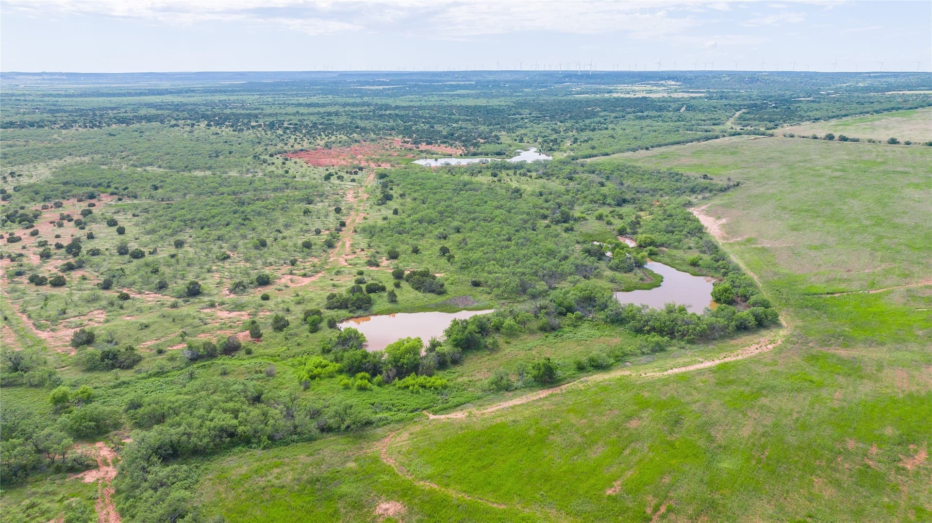 270 acres in Taylor County - photo 8