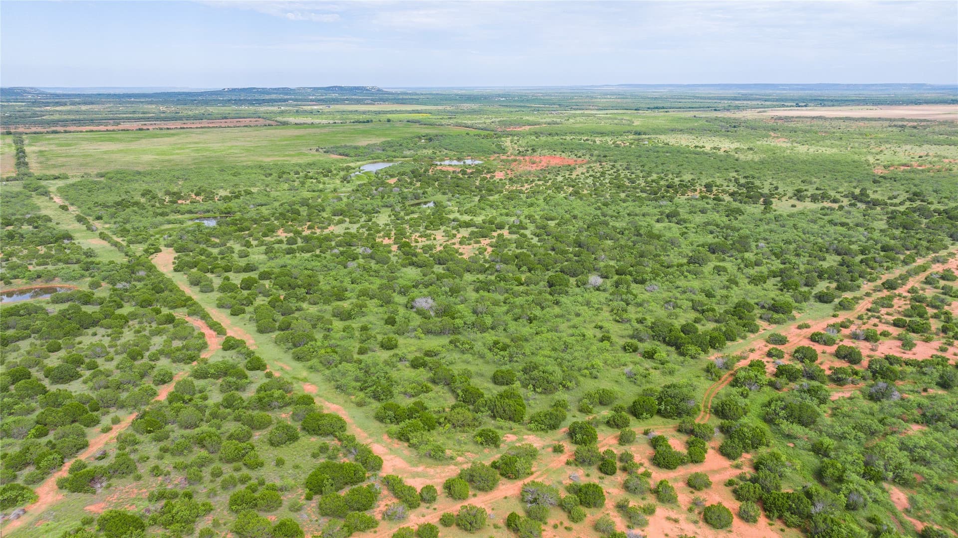 270 acres in Taylor County - photo 30