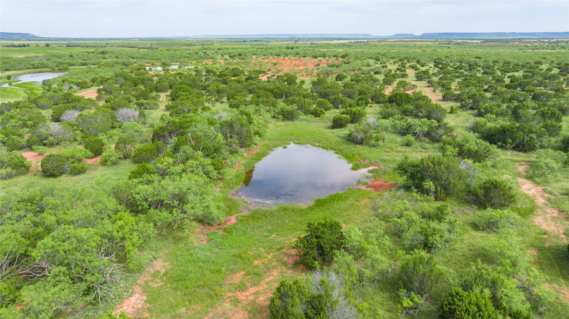 270 acres in Taylor County - photo 34