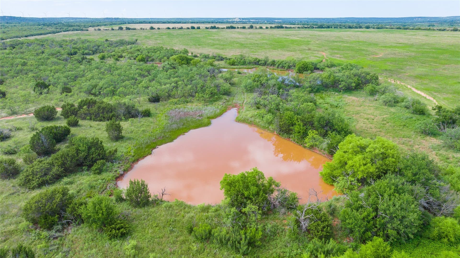270 acres in Taylor County - photo 11