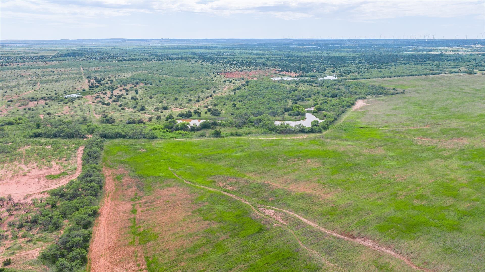 270 acres in Taylor County - photo 7