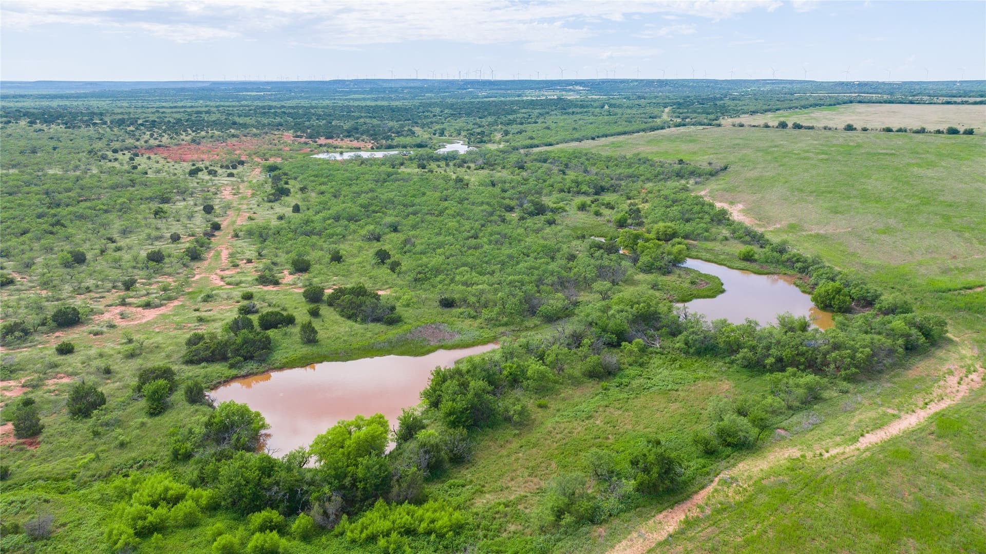 270 acres in Taylor County - photo 9