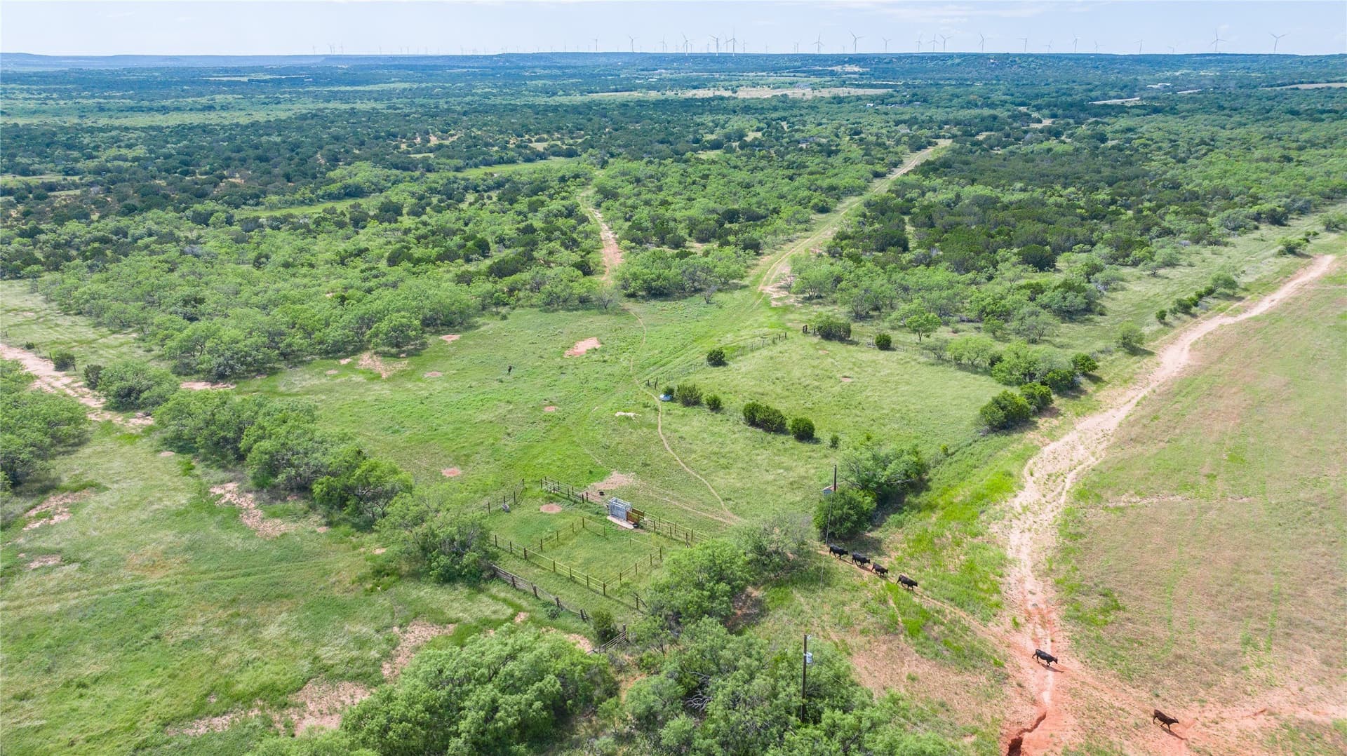 270 acres in Taylor County - photo 6