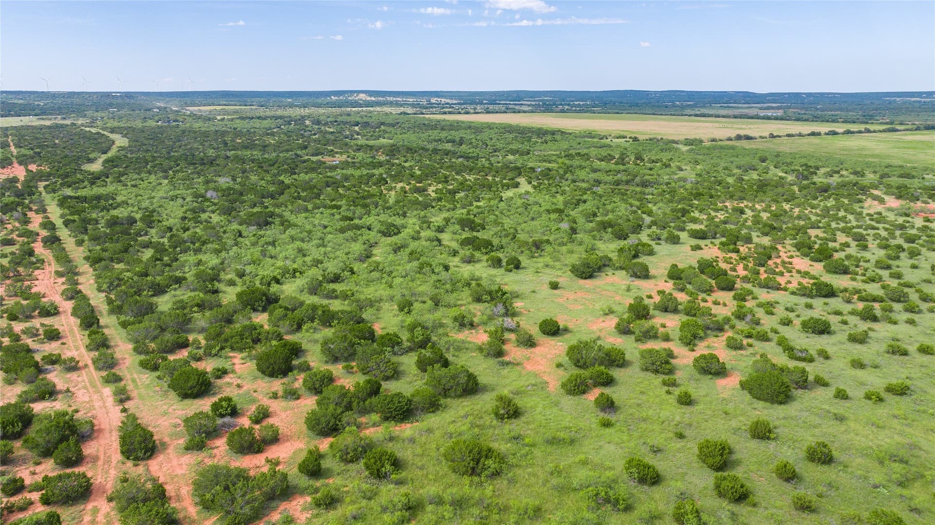 270 acres in Taylor County - photo 28