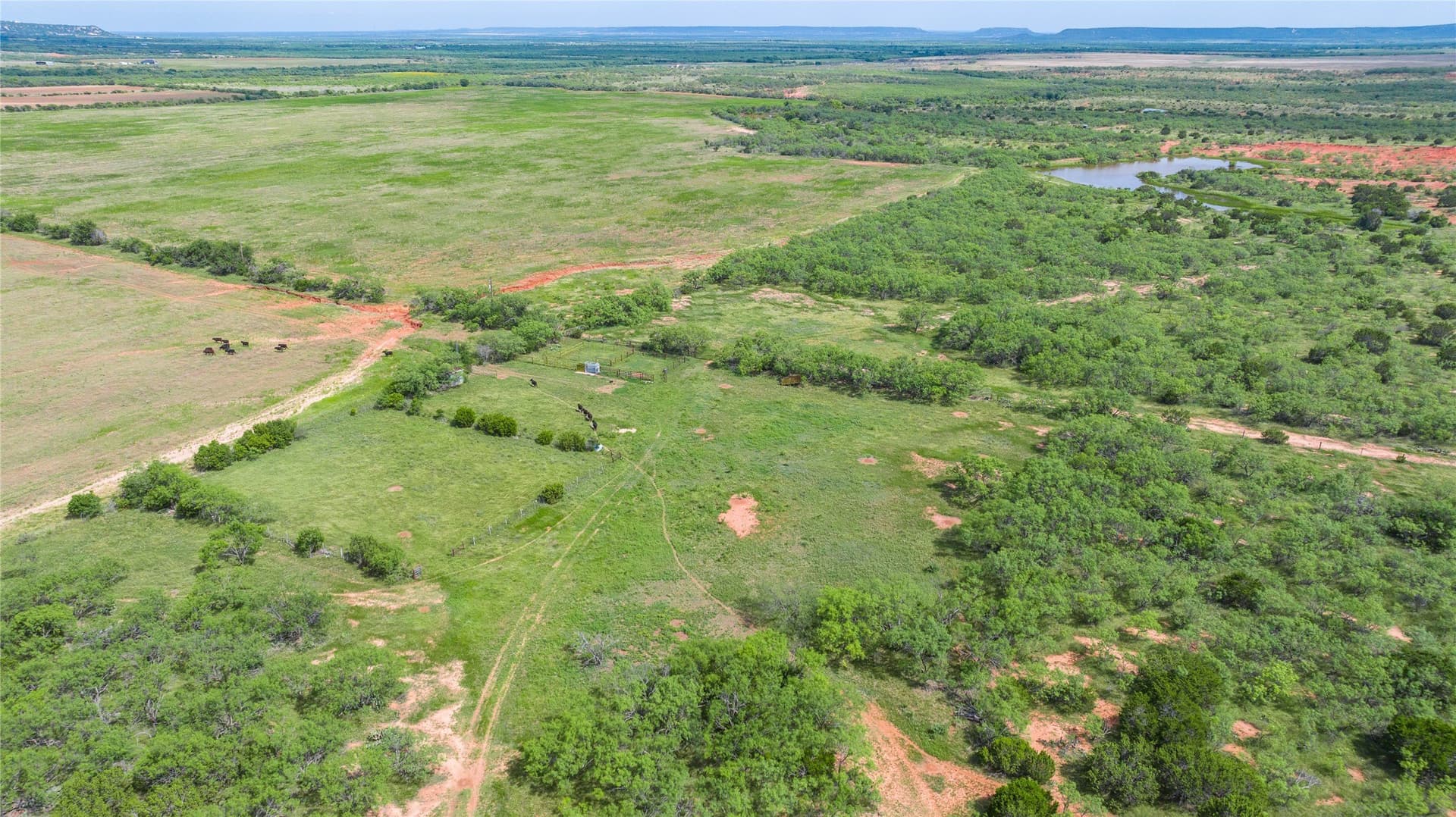 270 acres in Taylor County - photo 5