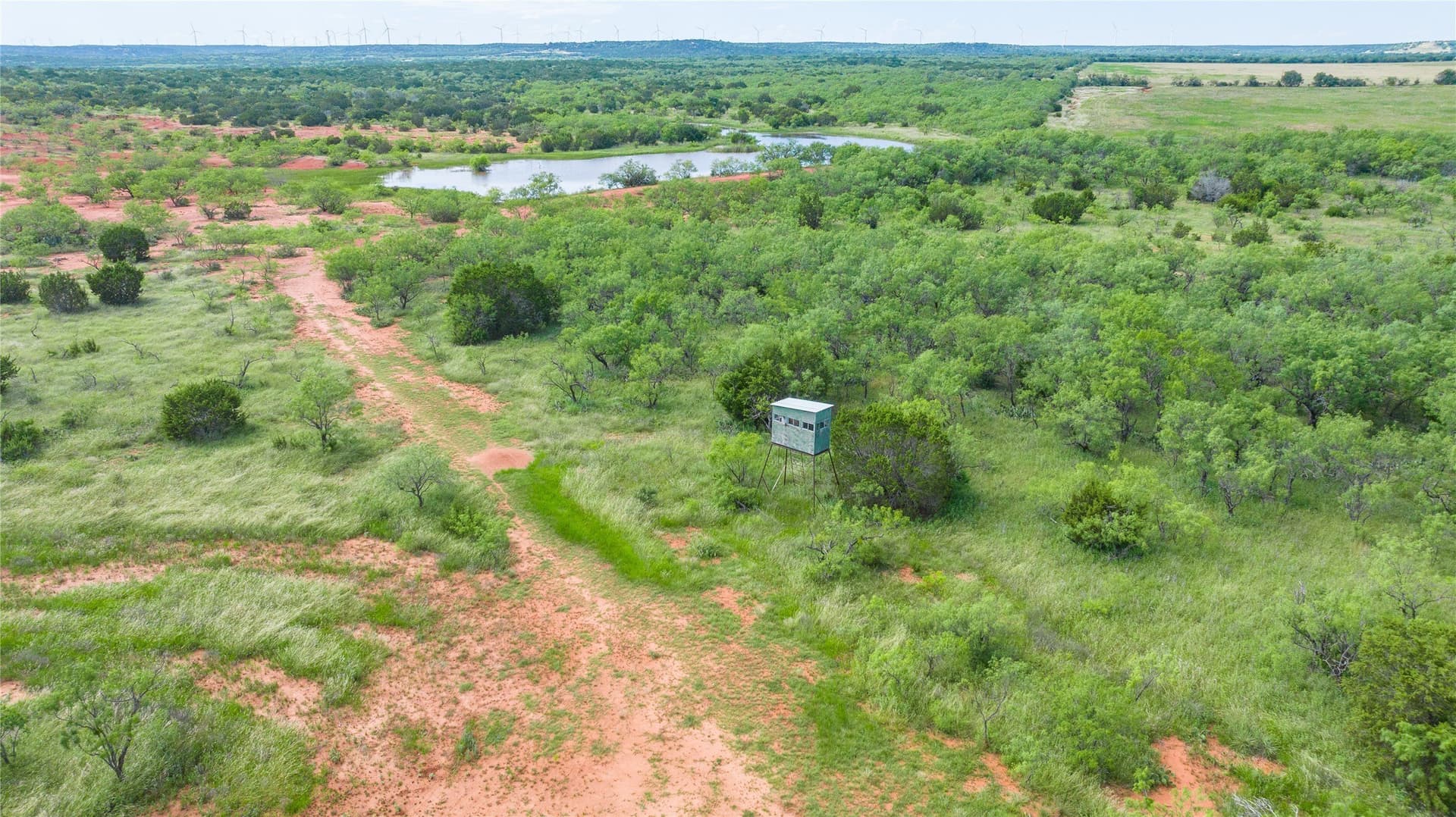 270 acres in Taylor County - photo 16