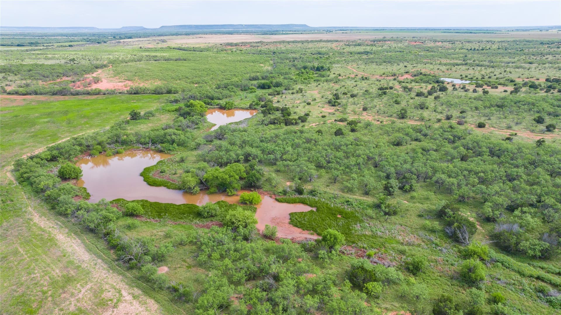 270 acres in Taylor County - photo 14