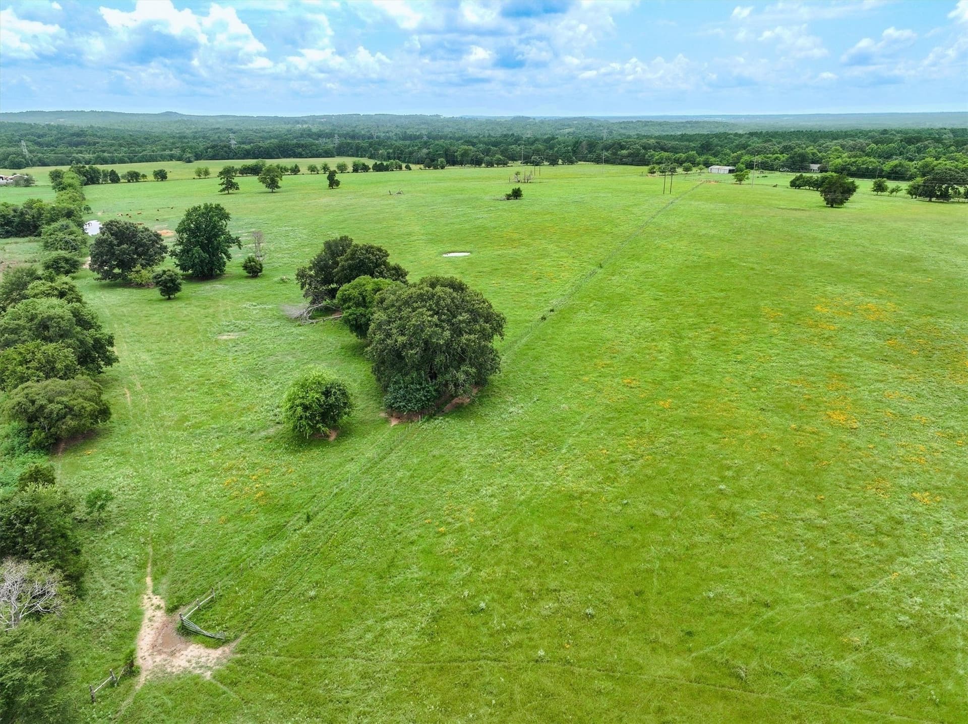 10 acres in Cherokee County - photo 13