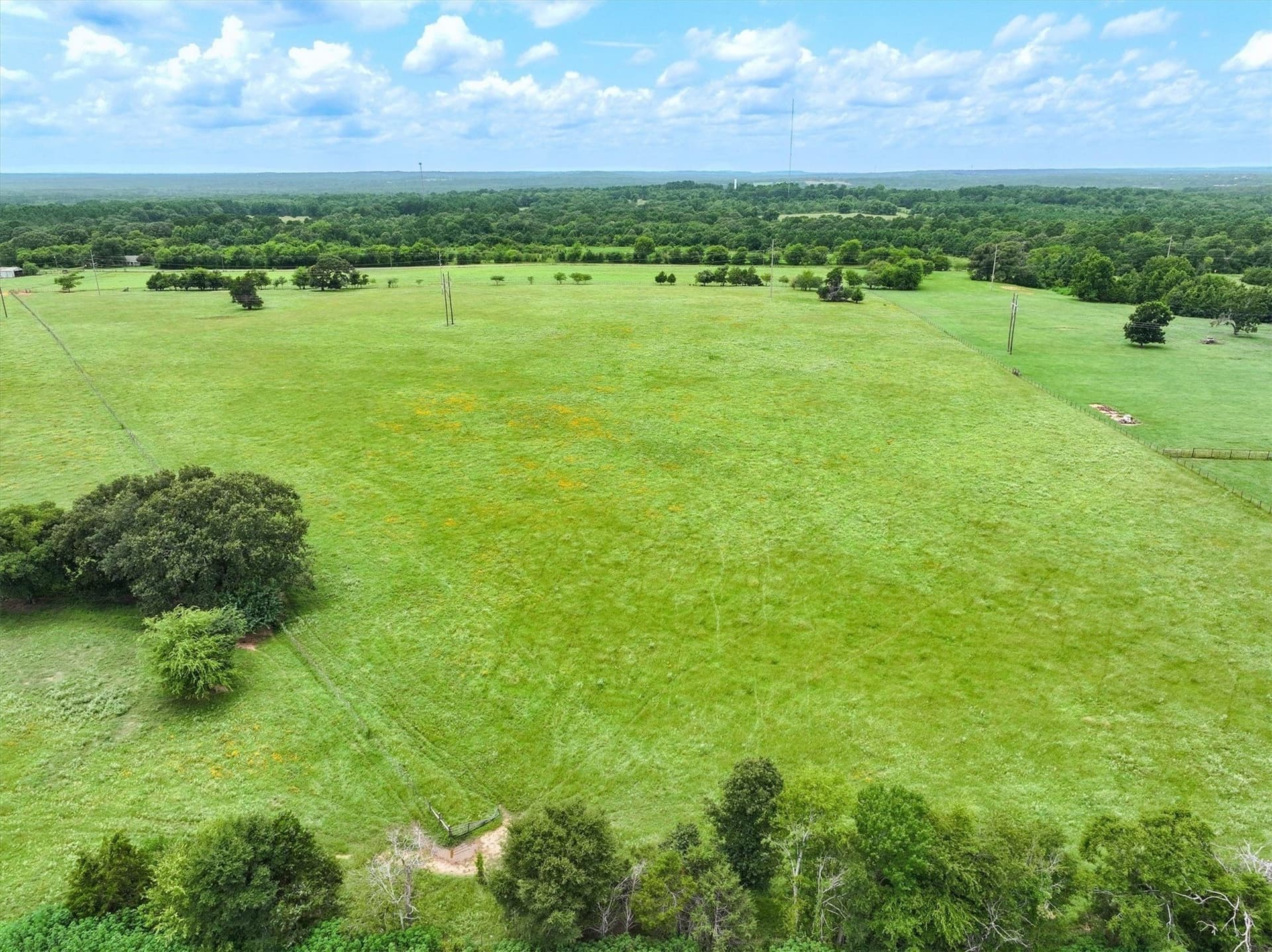 10 acres in Cherokee County - photo 16