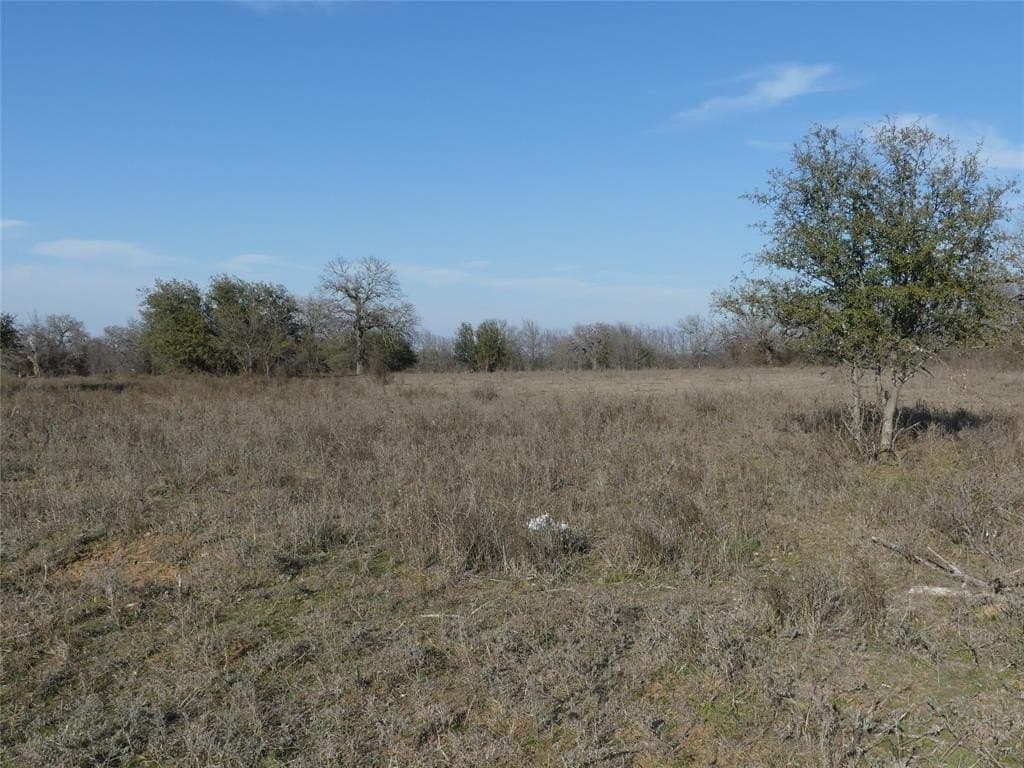 15.01 acres in Wise County gallery image 4