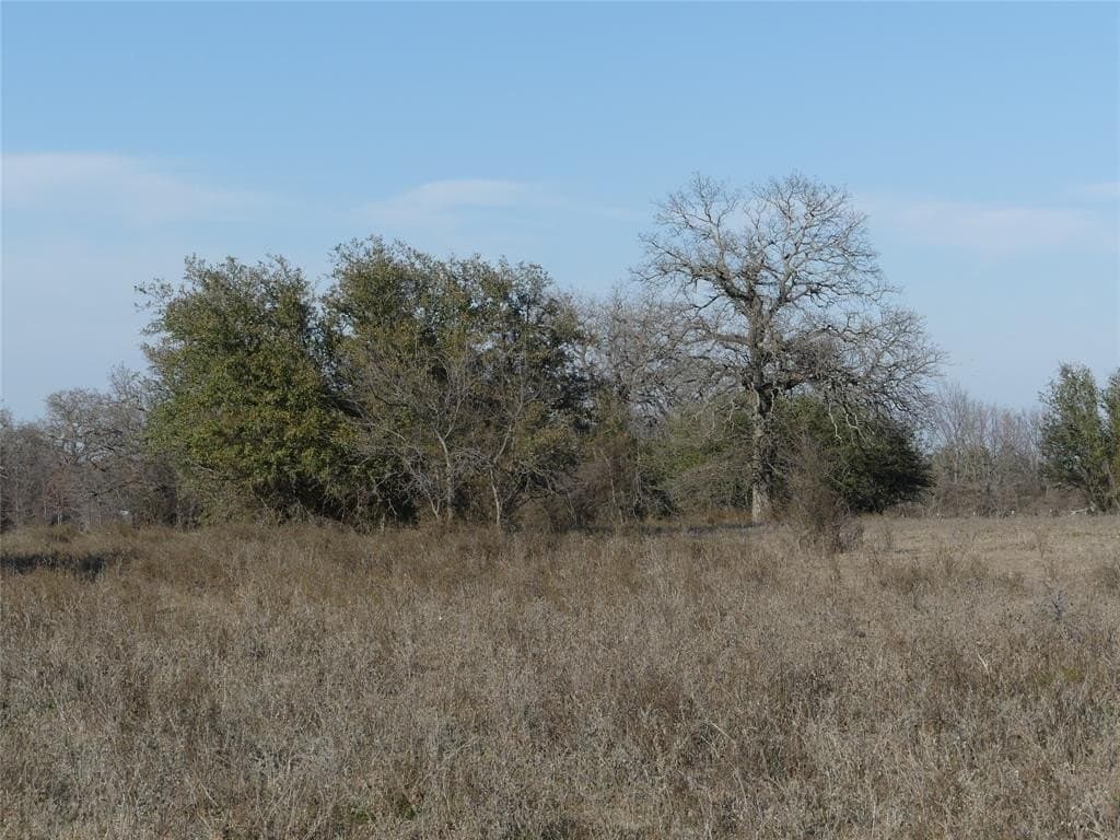 15.01 acres in Wise County featured view