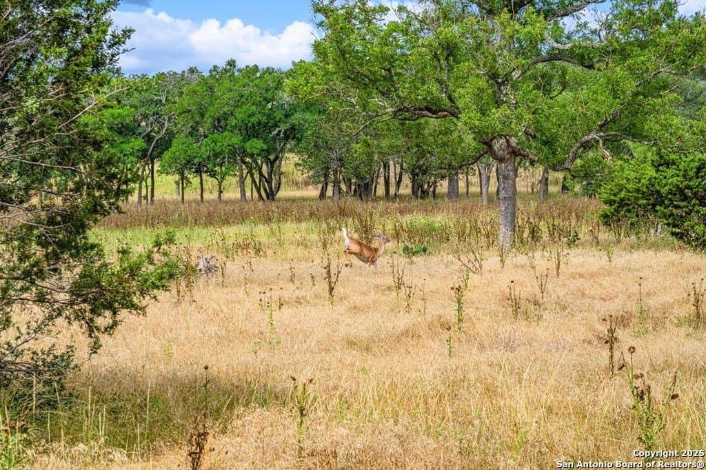 5.07 acres in Kerr County - photo 13