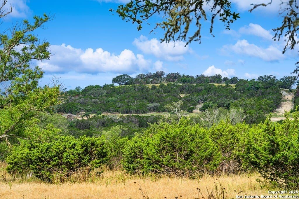 5.07 acres in Kerr County gallery image 4