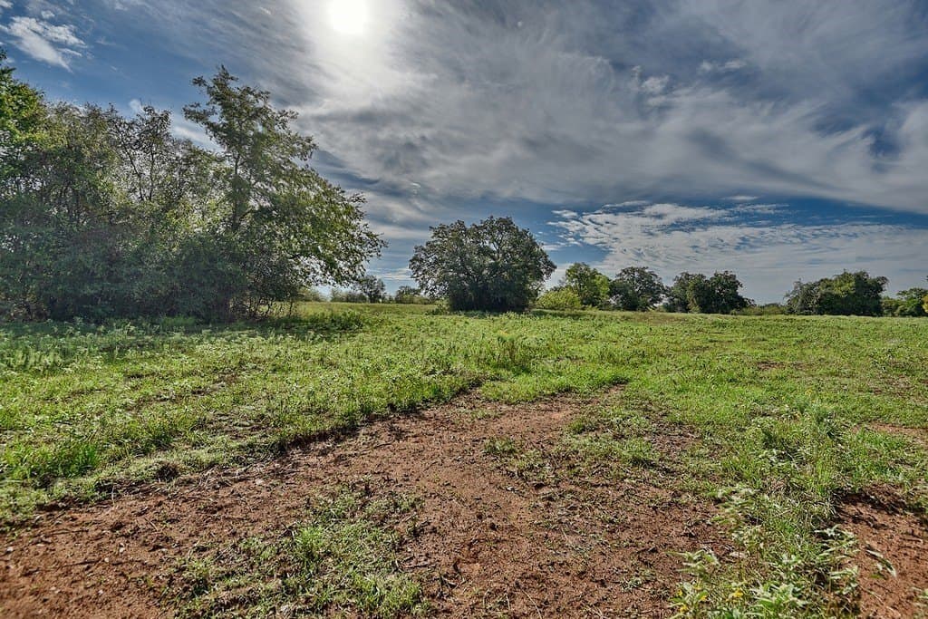 20.2 acres in Lee County gallery image 3