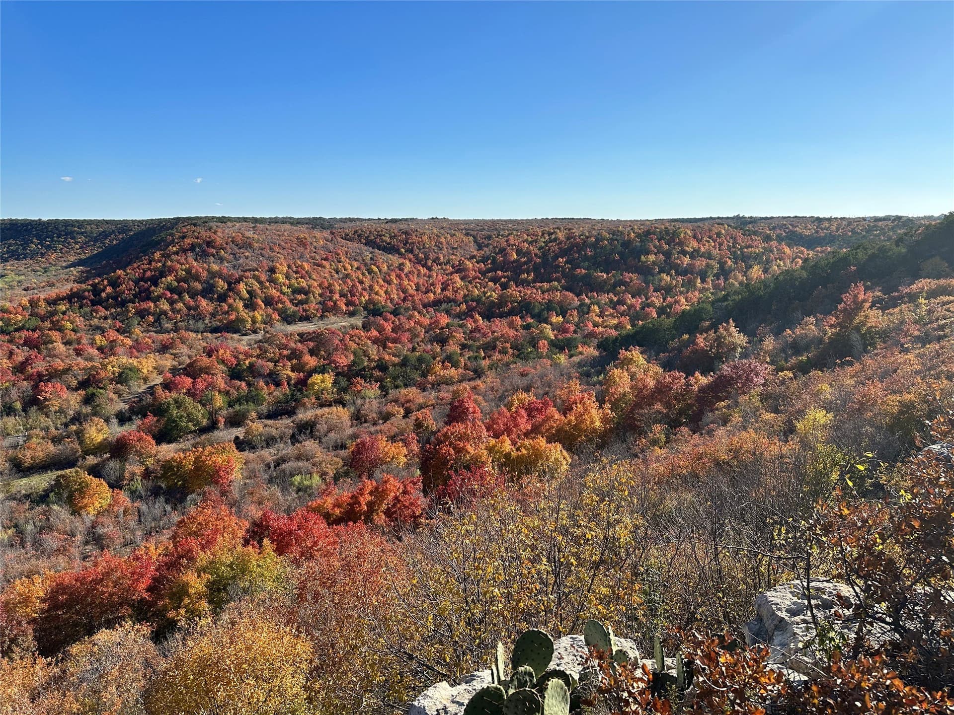 0.76 acres in Palo Pinto County gallery image 4