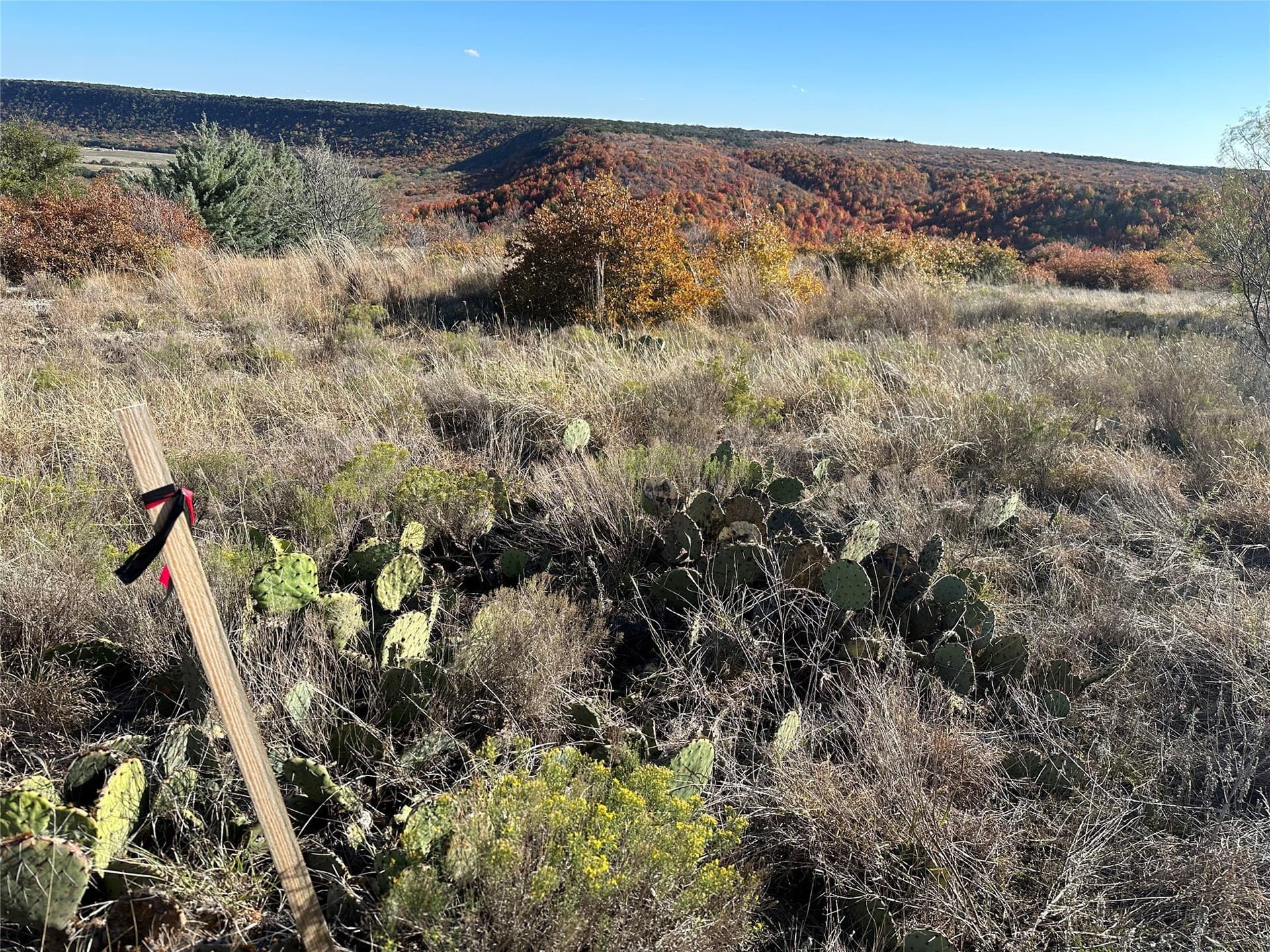0.76 acres in Palo Pinto County gallery image 2