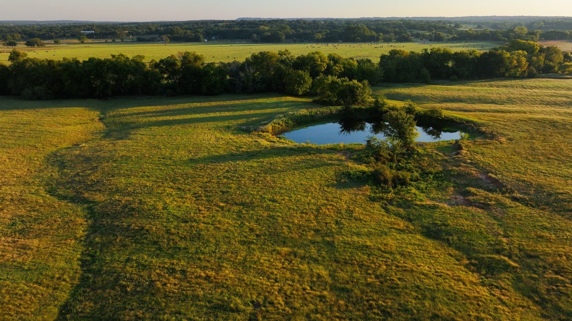 144 acres in Montague County - photo 20