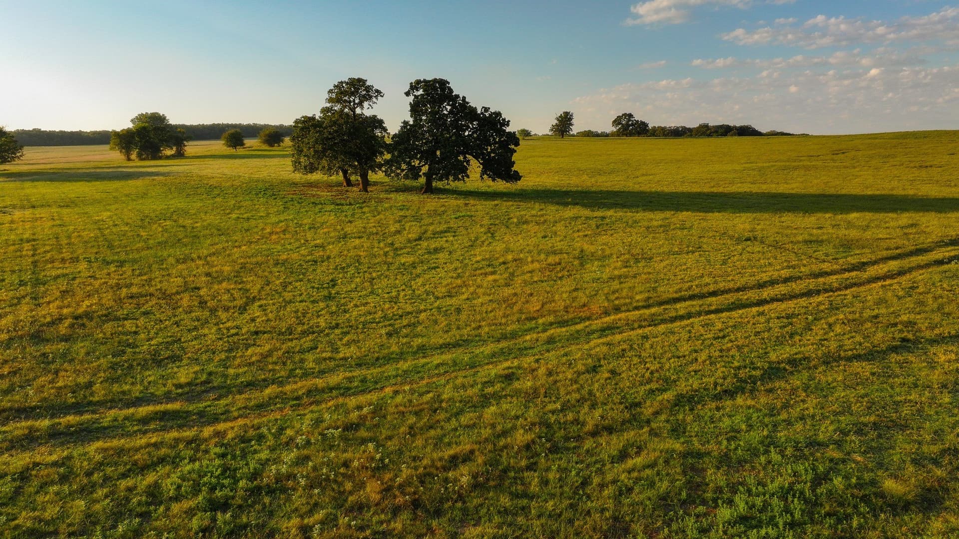 144 acres in Montague County - photo 23